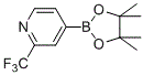 2-(trifluoromethyl)pyridine-4-boronic acid pinacol ester(1036990-42-7)