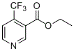 4-三氟甲基煙酸乙酯