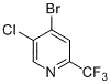 2-三氟甲基-4-溴-5-氯吡啶