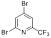 2，4-二溴-6-三氟甲基吡啶