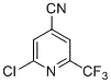 2-氯-6-三氟甲基異煙腈
