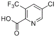 3-三氟甲基-5-氯吡啶-2-甲酸